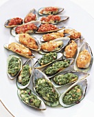 Mussels with herb-, mango- and tomato sauce