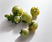 Mehrere grüne Tomaten