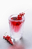 Ice glass with redcurrant liqueur and frozen redcurrants