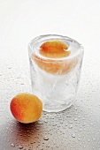 Ice glass with schnapps and apricots