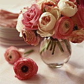 Pink ranunculuses in a vase in front of a pile of plates