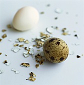 Two quail's eggs, one shelled, with eggshell