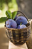 Fresh plums in a basket