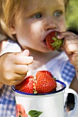 Small girl eating strawberries