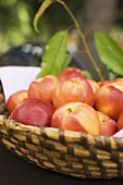 Fresh nectarines in a basket