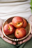 Hands holding wooden bowl of nectarines