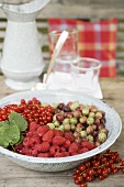 Assorted berries in bowl on garden table