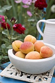 Apricots in bowl on garden table