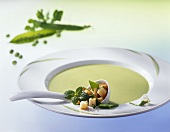 Pea soup with mint croutons
