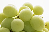 Frozen green grapes (close-up)