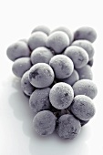 Frozen black grapes
