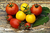 Various types of tomatoes with drops of water