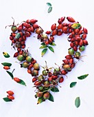 Rose hip heart with leaves