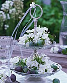 White phlox and plums on tiered stand on table