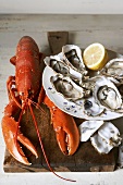 Cooked lobster and fresh oysters on chopping board