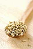 Fennel seeds on wooden spoon