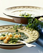 Cucumber soup with croutons (Mecklenburg-Western Pomerania)