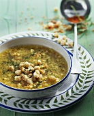 Pastinakensuppe mit roten Linsen und Croûtons