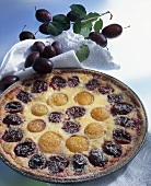 Plum and apricot pie