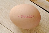 Brown egg with stamp