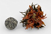 Two tea anemones (green tea)