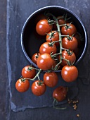 Cherry tomatoes in bowl (overhead view)