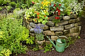Herb garden with stone wall