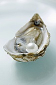 Fresh oyster with pearl