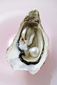 Fresh oyster with pearl (overhead view)
