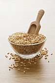 Oats in glass bowl with scoop