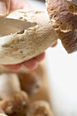 Cutting into a cep