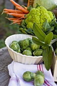 Vegetable still life with Brussels sprouts & green cauliflower