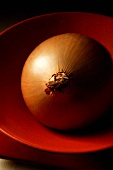 Brown onion in red bowl