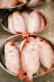 Fresh fish in bowls (Tai Po Market, Hong Kong, China)