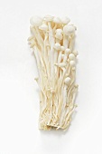 Enokitake mushrooms
