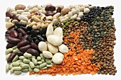 Assorted beans and lentils