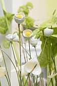 Easter decoration: eggshell flowers and white calla lily