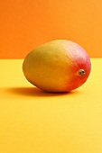 Mango on coloured background