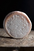 Pyrenean cheese on wooden background