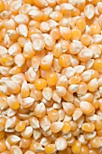 Corn kernels (full-frame)