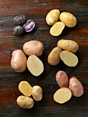 Various types of potatoes (overhead view)