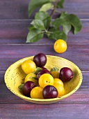 Yellow and red plums in rustic dish
