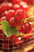 Redcurrants in a basket (close-up)