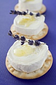 Crackers with goat's cheese, olive oil & lavender flowers