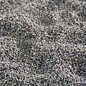 Poppy seeds (full-frame)