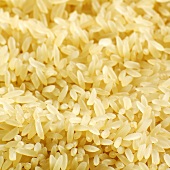 Rice (full-frame)