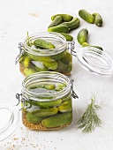 Pickled gherkins in jars