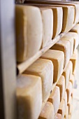Blocks of cheese stored on wooden shelves
