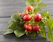 Spray of rose hips on wooden table