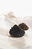 Schwarze Trüffel und ein Löffel Kaviar